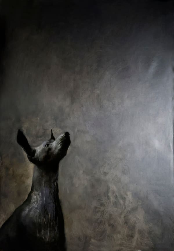 Giovanna Ruz, perro, 2024