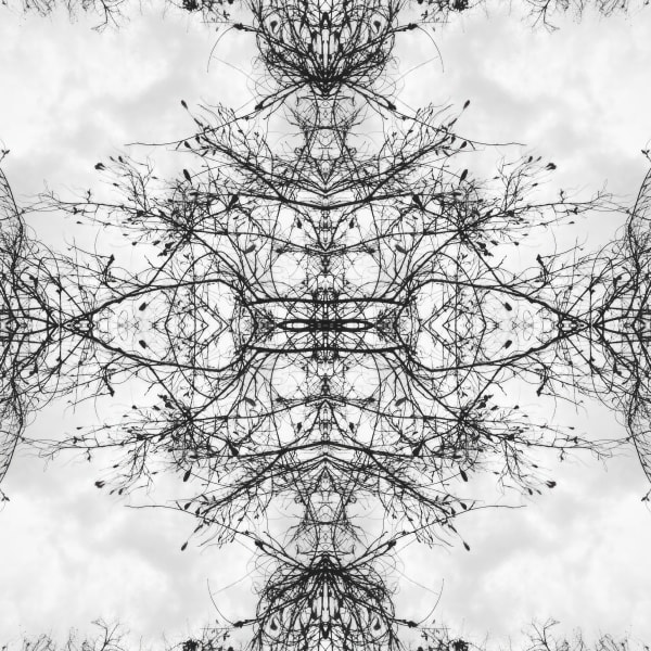 Teresa Cruz Elton, Dark series Nro 342, 2022