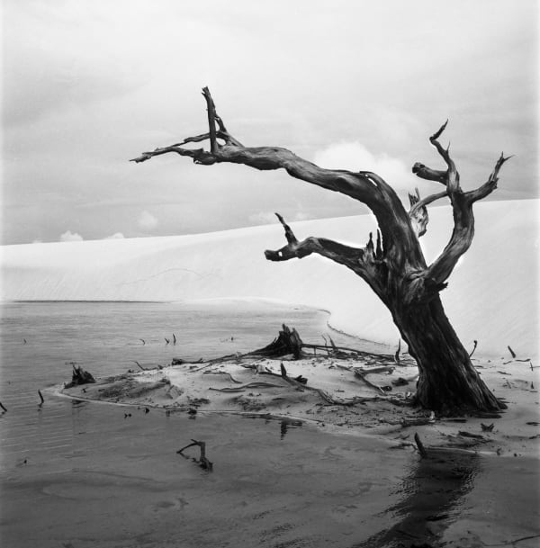 Ronald Patrick, Bedsheets of Maranhao-262, 2013