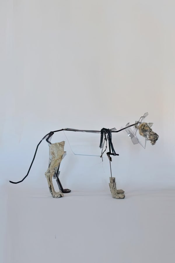 Nelly Schmücking, löwe_1, 2019