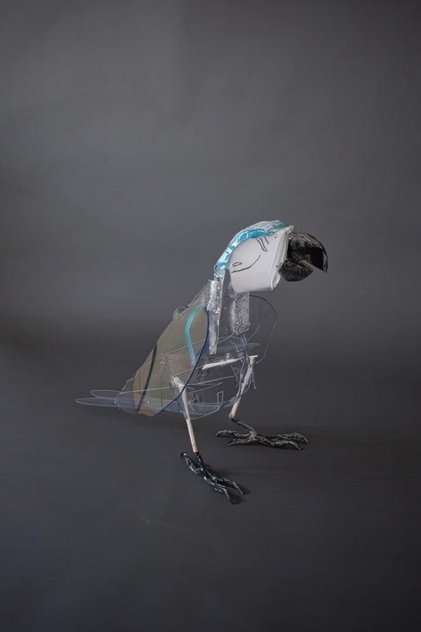 Nelly Schmücking, ara1, 2019