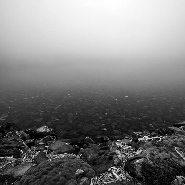 Pablo O'ryan, ALMA_pablotriste-49-100x100cm, 2022