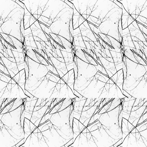 Teresa Cruz Elton, Dark series Nro 342, 2022