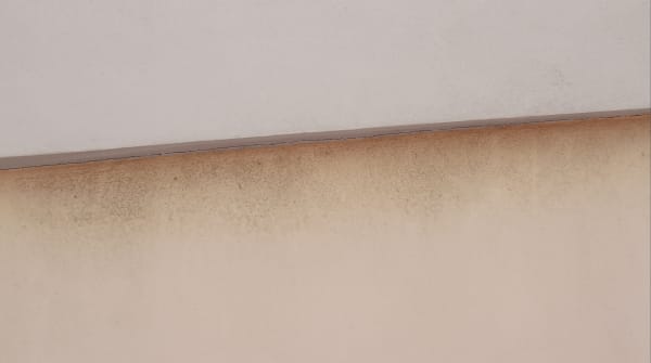 Seven Rol, miamii_series3, 2020