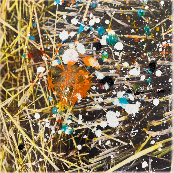 Mota Montero, Natura Nro 004, 2023