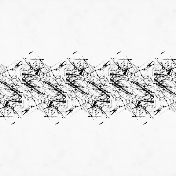 Teresa Cruz Elton, Dark series Nro 342, 2022