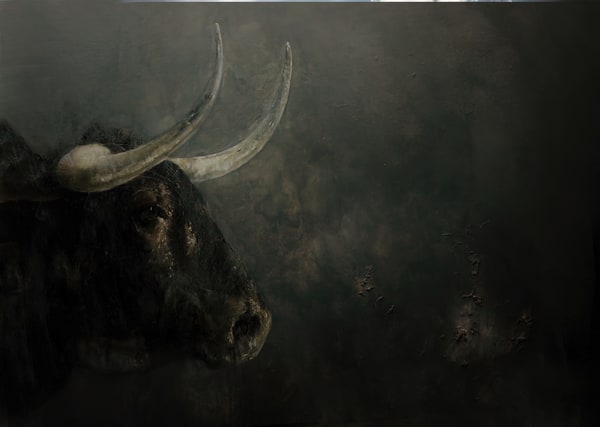 Giovanna Ruz, Toro, 2000-2023