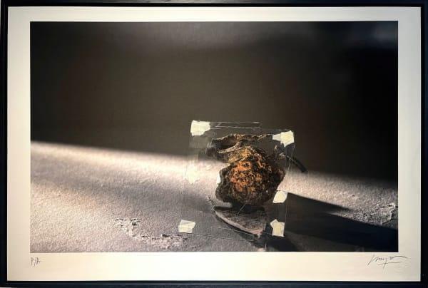 Miguel Etchepare, Manzana Intervenida, 2020