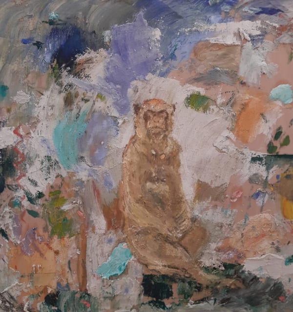 Nelly Schmücking, Barbarymacaque, 2022