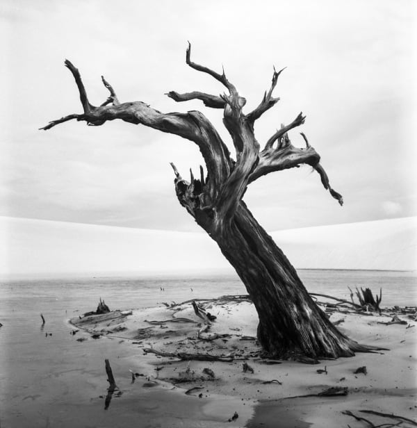 Ronald Patrick, Bedsheets of Maranhao-267, 2013