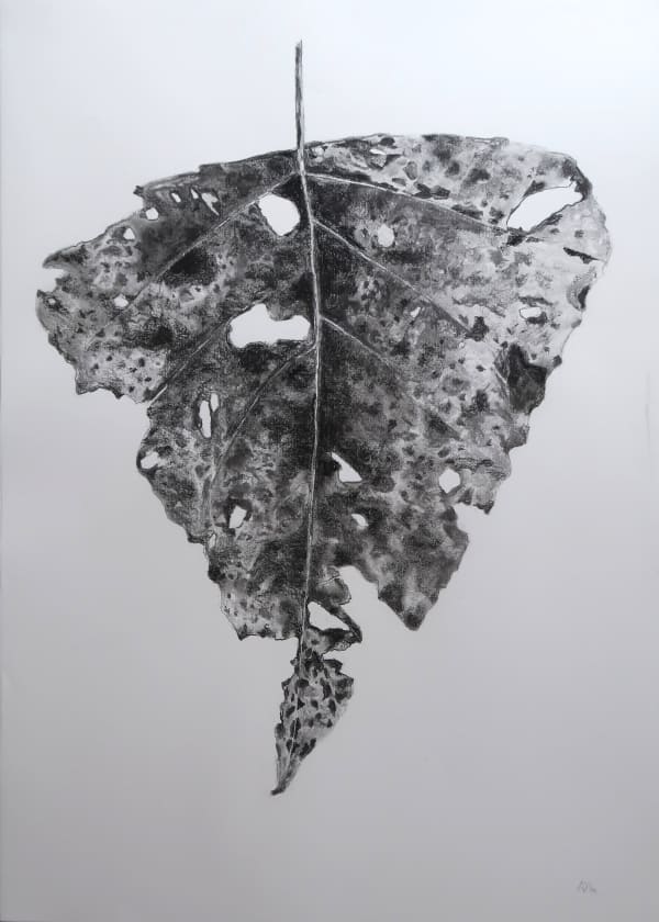 Aleida van Dijk, Overgave series, 2024/2025