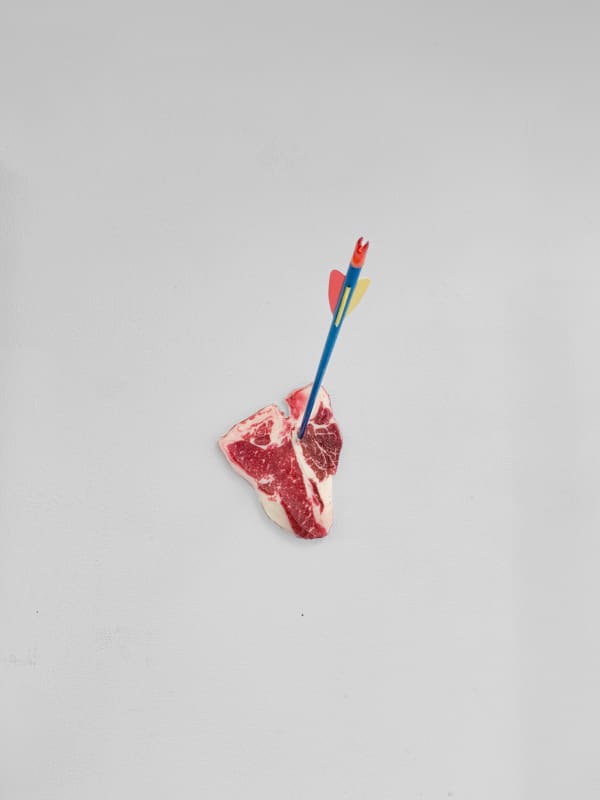 Geke Schalkwijk, The New Hunt: T-Bone, 2024