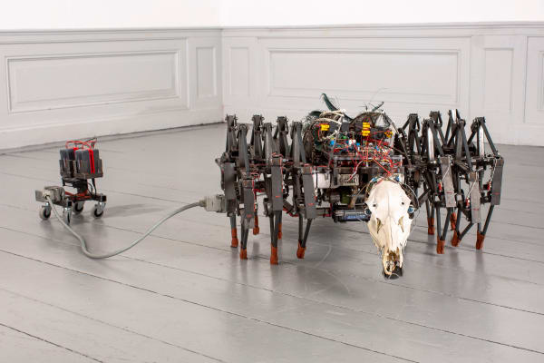 Jelle Korevaar, AS, 2018