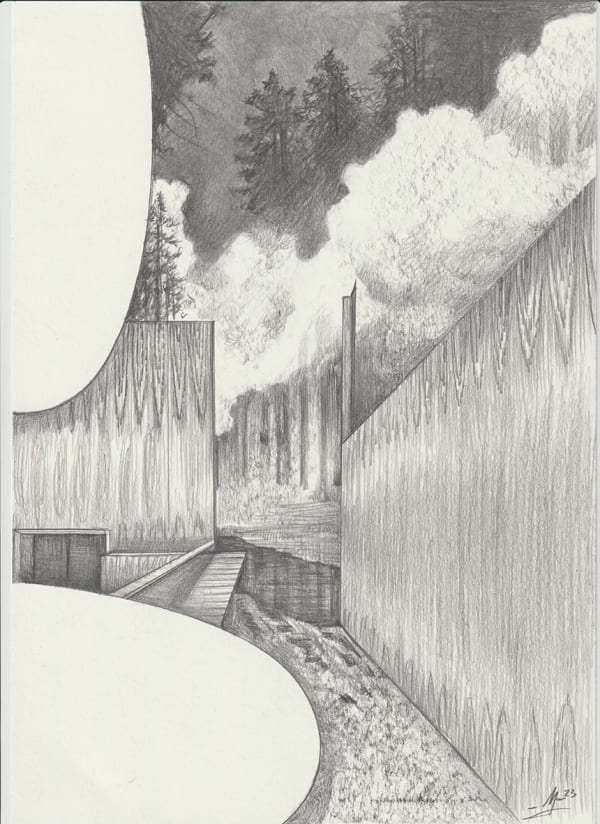 Martine Johanna, Northern forest, 2025