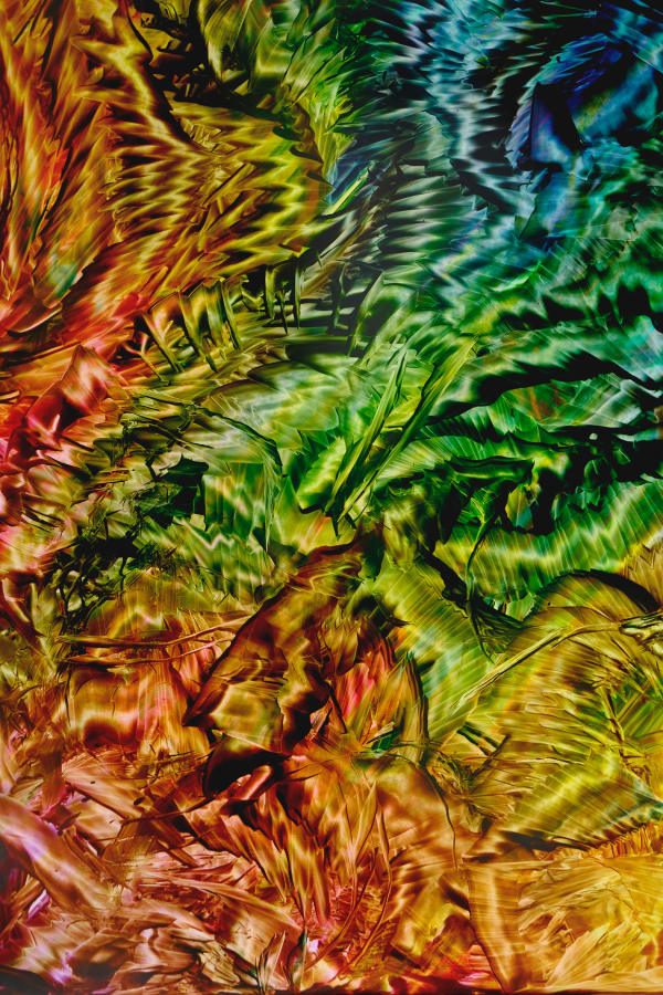 Rob Bouwman, Untitled