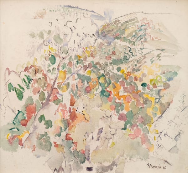 John Marin, Region (Cocotte) on Bushkill Creek, Pennsylvania, 1916