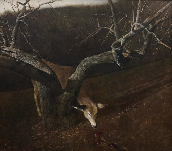 Andrew Wyeth (1917-2009) Jacklight, 1980 Signed at lower right: Andrew Wyeth; inscribed with the title on verso: JACKLIGHT Egg tempera on panel 43½ x 49¾ inches 110.5 x 126.4 cm