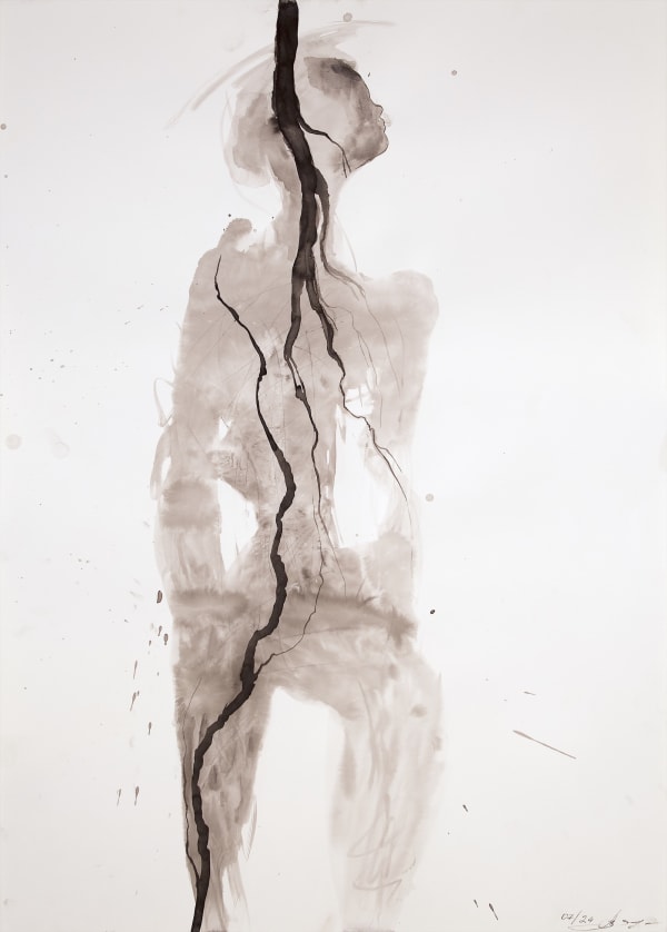 Alina Zamanova, Figure 2, 2024