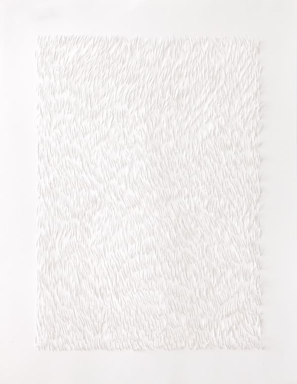 Zaida Oenema, Fields #3, Series #2, 2019