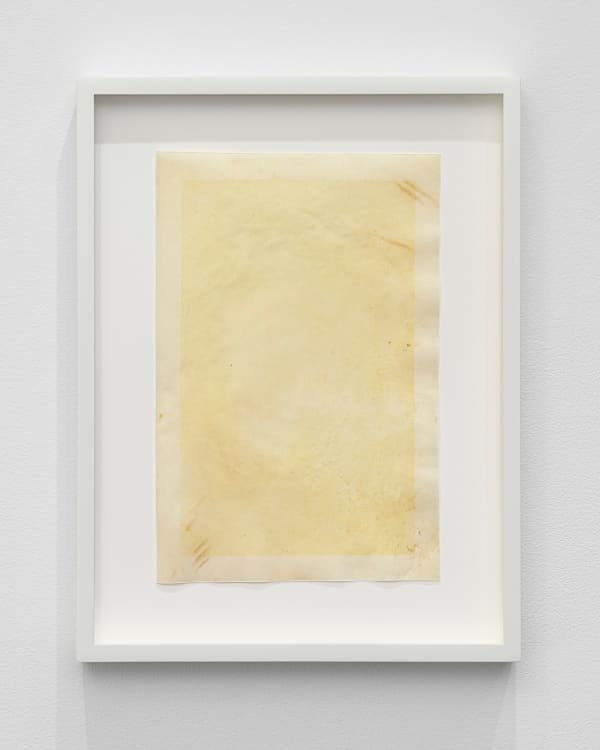 Afton Love, The Body Remembers (Formed), 2022