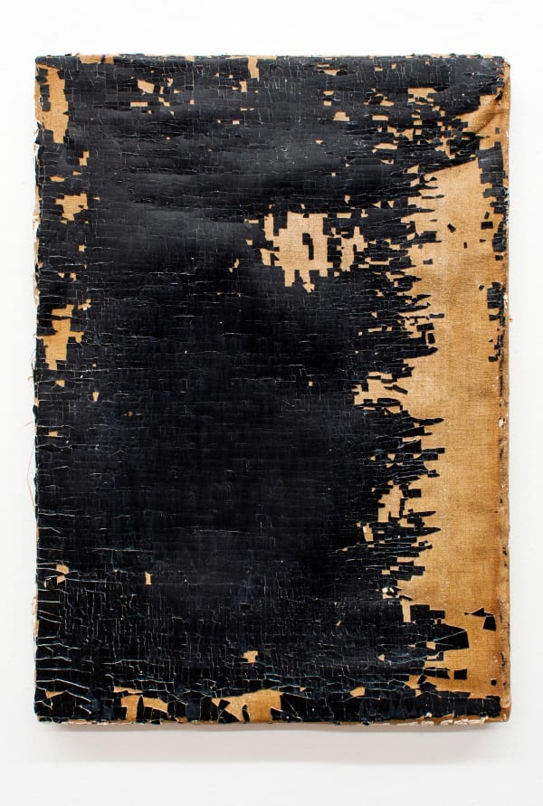 Dan Levenson, Fabia Meyli