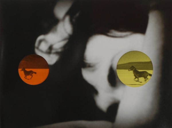 Adultery Series, Part 5, 2012