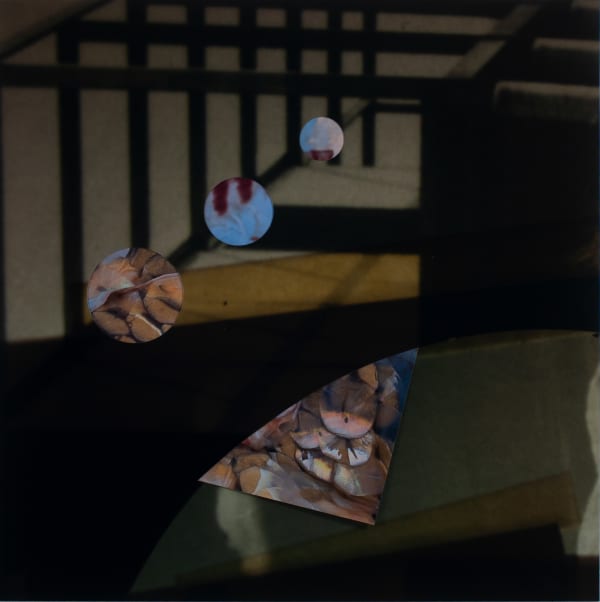 Bara Jichova Tyson, The Hatch House 10, 2013