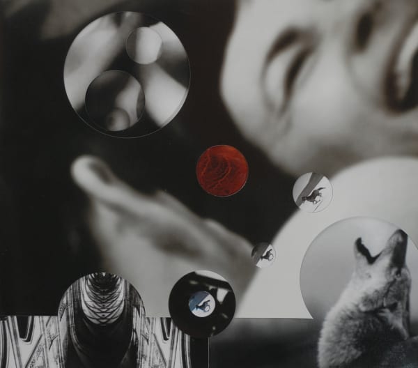 Adultery Series, Part 1, 2012