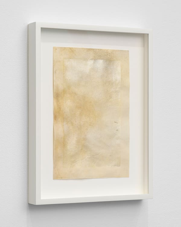 Afton Love, The Body Remembers (Pulse), 2022