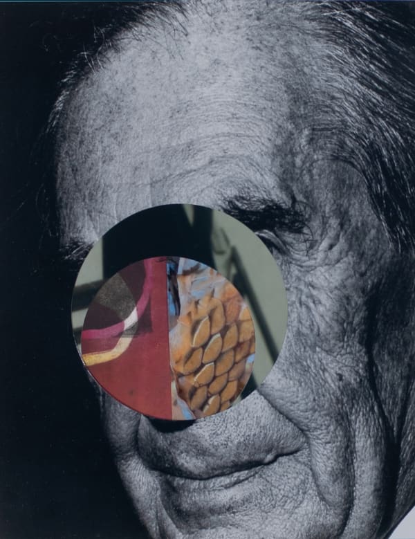 Bara Jichova Tyson, The Hatch House - Gropius, 2014