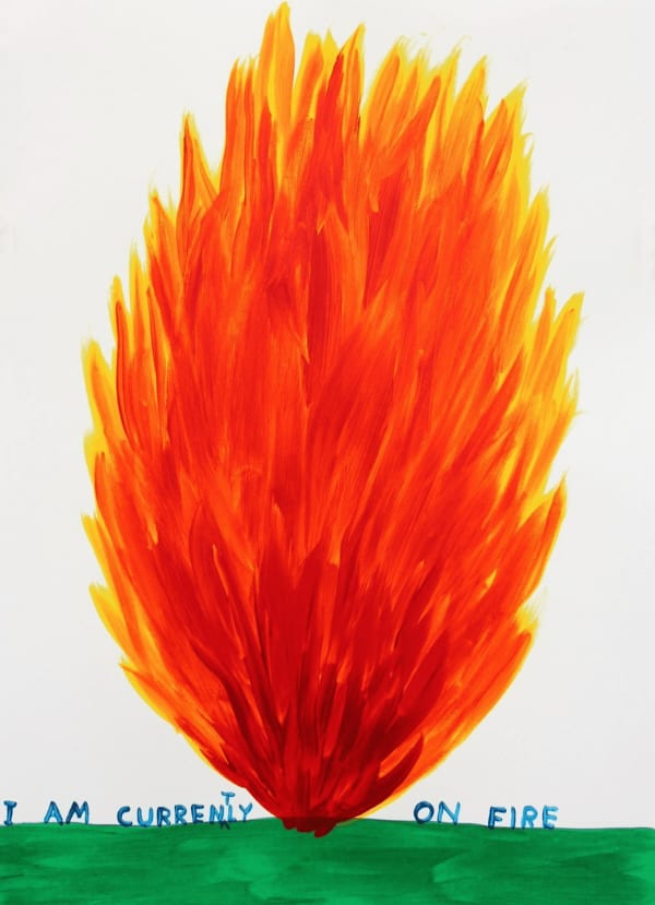 David Shrigley, I Am Currently On Fire, 2017