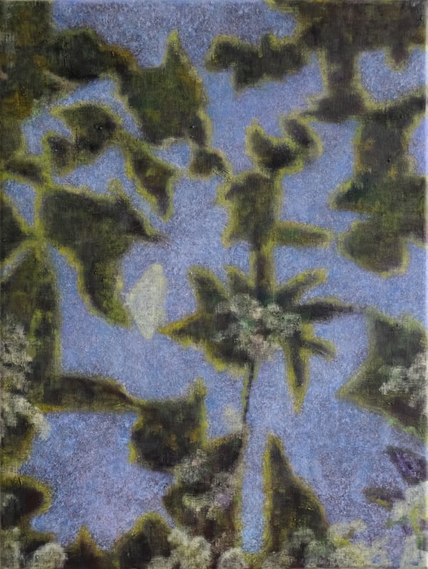 Bohyeon Hwang, Moth Bubble Night, 2024