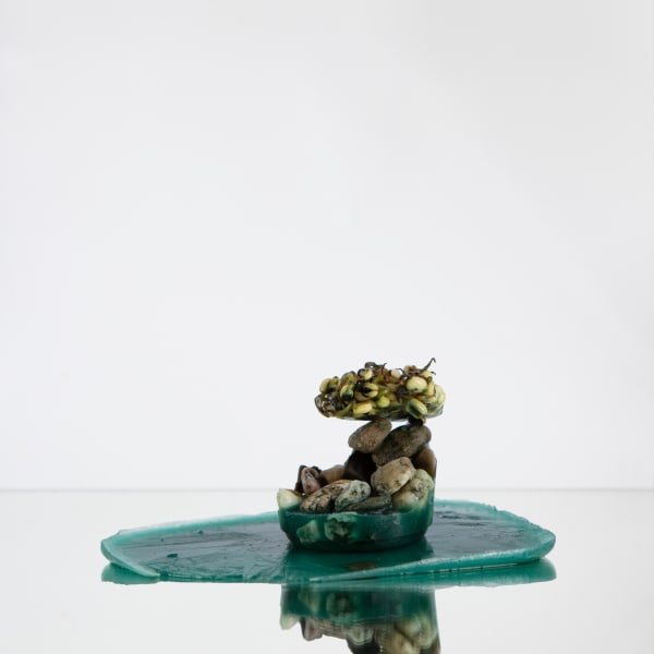 Jana Romanova, Linelle, 2024