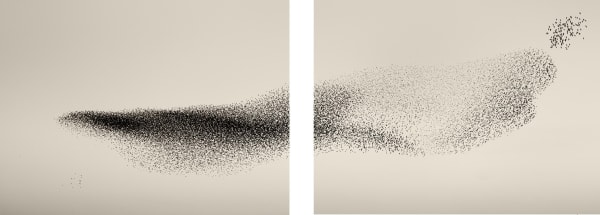 Søren Solkær Black Sun #4, 2020 Archival Print on Japanese Washi Paper Multiple sizes available: 42 x 59cm - Edition of 5 plus 2 AP's 59 x 84cm - Edition of 5 plus 2 AP's 84 x 119cm - Edition of 7 plus 2 AP's 130 x 190cm - Edition of 1 only