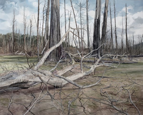 Nicholas Blowers Forest Shallows , 2017 Oil on Canvas 164 x 204cm