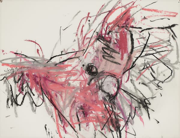 Jody Graham Glove drawing 2 - Galah, 2024 Charcoal and pastel on paper 28cm x 35cm