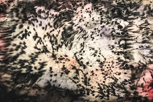 Christopher Horder Stained Glass Sky , 2017 Acrylic, watercolour, Indian ink on canvas 182 x 274cm