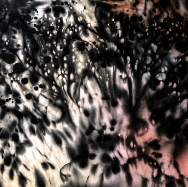 Christopher Horder Bloom VIII , 2017 Acrylic, watercolour, Indian ink on canvas 60x60cm