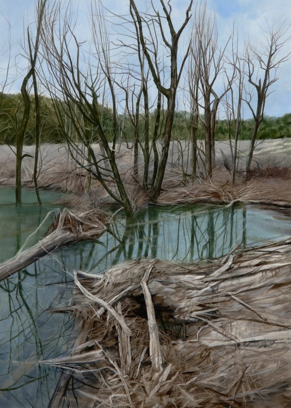 Nicholas Blowers Collapsing Tree Reflections, Savage River Tailing Ponds , 2015 Oil on Canvas 82 x 59cm