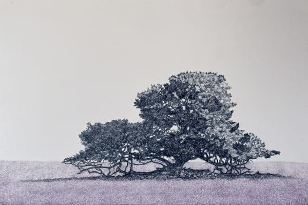 Kathryn Ryan Low Branches, 2024 Oil on board 20 x 30cm