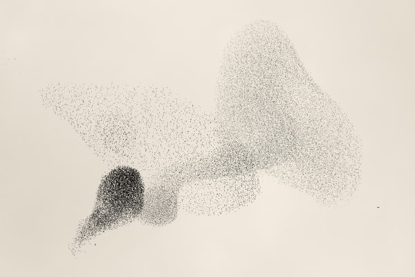 Soren Solkaer Black Sun #8, 2020 Photograph 67x91cm Framed (Additional sizes available)