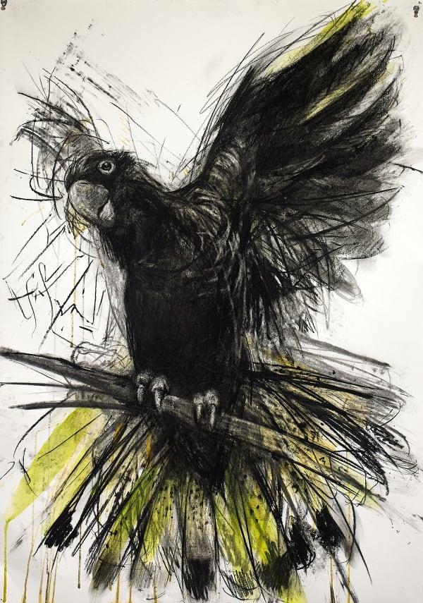 Jody Graham Head in the Clouds, 2024 Charcoal, acrylic and ink on paper 100cm x 70cm