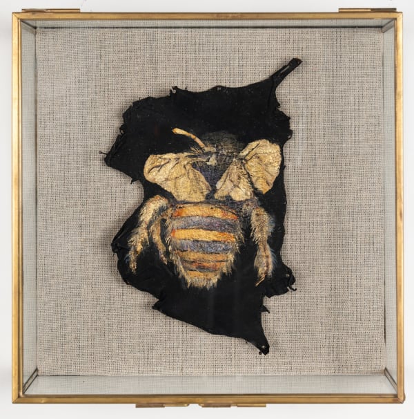 Floria Tosca Bee, 2023 Ink and paint on cane toad skin, placed in found jewlery case. 20cm x 20cm x 7cm