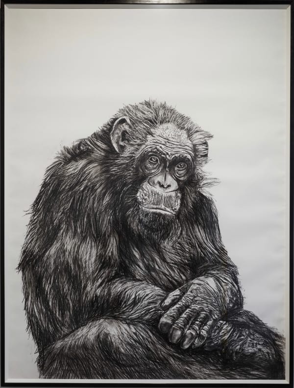 Floria Tosca There by the grace of God go I, 2025 Charcoal on paper 205 x 155cm