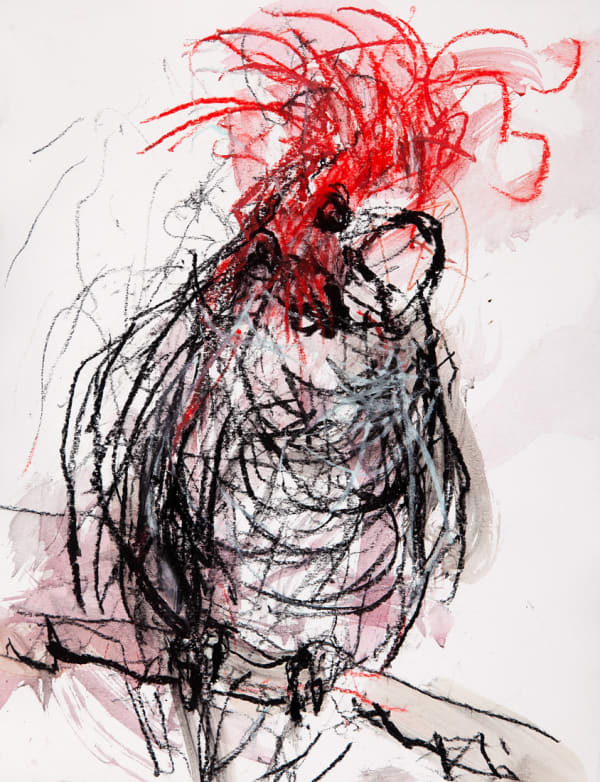 Jody Graham Glove drawing 4 - Gang-Gang Cockatoo, 2024 Charcoal and pastel on paper 35cm x 28cm