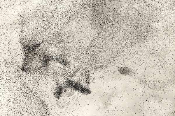 Soren Solkaer Black Sun #23 2020, 2020 Washi paper 84 x 119cm (Additional sizes available)