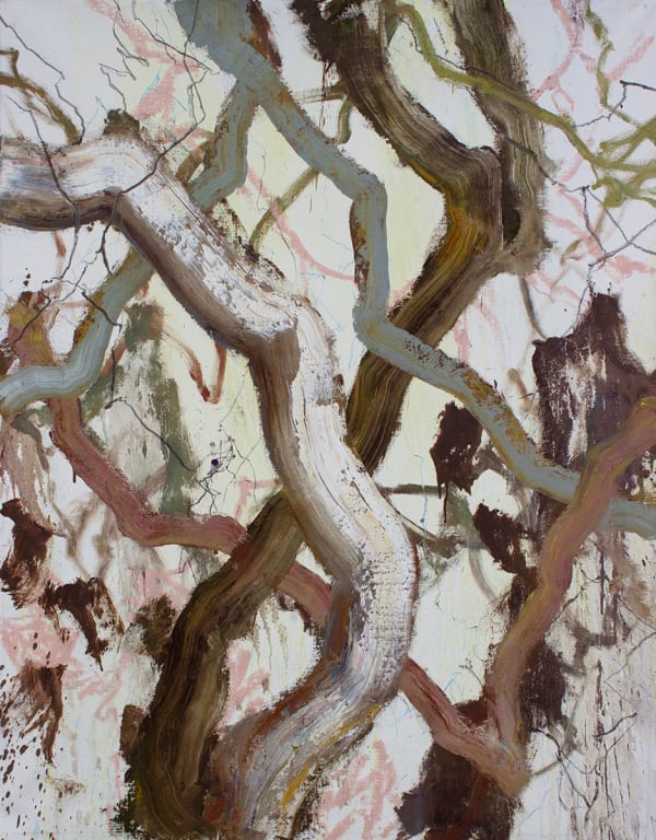 Brett McMahon Tree Study 6, 2025 Oil, acrylic and pencil on linen 190 x 148cm