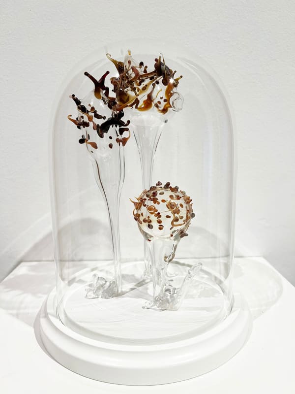 Floria Tosca Family, 2023 hand blown glass forms in glass dome 22cm (H) x 16 x 16cm