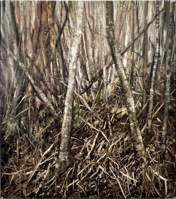 Nicholas Blowers, Fern Tree Gully I , (circa 2010)