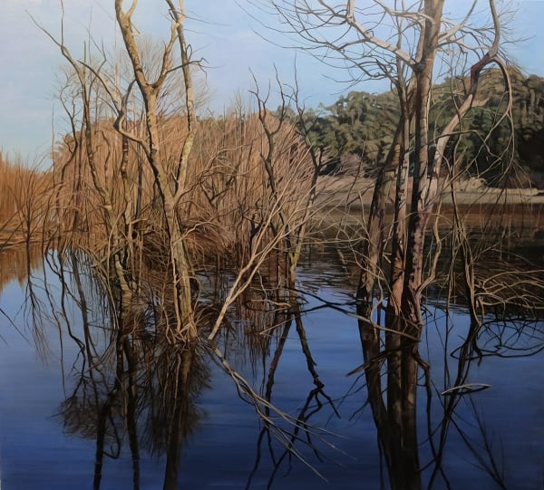 Nicholas Blowers, Illuminated Savage River, 2024